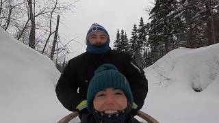 Traineau à chiens au Chalet en bois rond