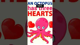 Living thing with Three hearts !