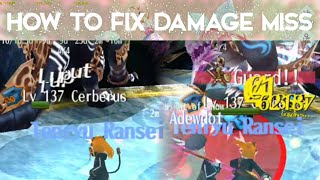 Fix damage miss - Toram Online