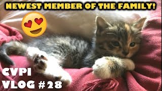 CVPI Vlog #28 - WE GOT A KITTEN!