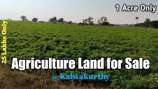 Open Agriculture Land for Sale at Kalwakurthy # P67 || Nagarkurnool Road || NH167 || Ngkl Dist ||