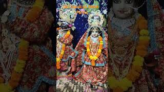 🌸श्री गौड़ीय मठ पटना🌸 #damodarmaas #musicconcert #devotional #classicalmusic #bhaktistatus #ytshorts