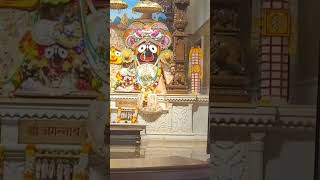 Iskcon Pune|Sri Sri Radha Vrindavanchandra Mandir| #iskcon