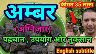 अम्बर (Ambergris, Aganijar) असली अम्बर की पहचान उपयोग के फायदे नुकसान ।