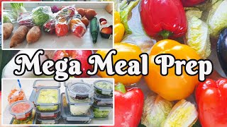 Mega Meal Prep