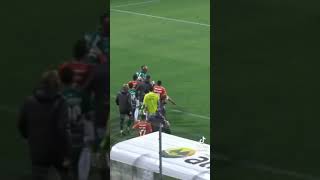 UFC brasileirão. Briga em campo