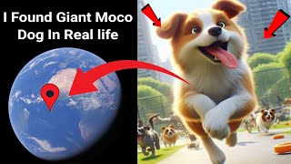 😱I Found Giant Moco Dog 🐶 In Real life!?🤯On GoogleEarth and Googlemaps🌎@Universal-s2z#viralvideo