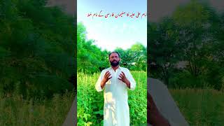 امام علی علیہ کا حضرت سلیمان کے نام حظ || Nahj ul Balagha || HaqBooL