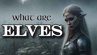 What are Elves?