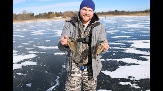 Ice fishing big bluegill and...