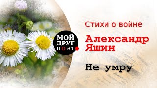 Не умру - Александр Яшин  |  Стихи о войне  |  Стихи военных лет