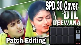 Dil Deewana Patch Editing & Playing Procedure|| SPD 30 Cover ||