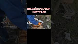 arıcılığa başlamk isteyenler bu kanalda #arı #bee #beekeeping #imkerei #aricilik #aries #bal #honey