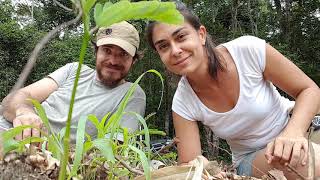 Nossas sementes estão germinando