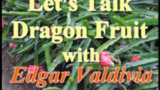 Let's talk Dragon Fruit