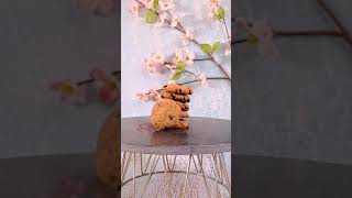 Whole Wheat Chocochip Cookies by Samyara's Den