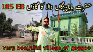 "A Day in Chak 185 EB: Village Life in Punjab"@SajidAliw100