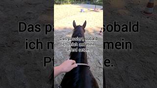 Ruhe und Entspannung am Pferd - Freude am Reiten - THT Methode #horse #pferdetraining #equestrian