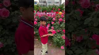 Gulab warga🌹😍 #gabrugulabwarga #punjabisong #gurnambhullar #pranjaldahiya #shorts