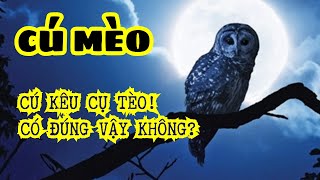 CÚ KÊU CỤ TÈO?