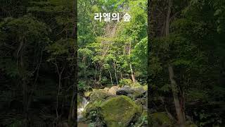 비가 내린 5월 라엘의 숲 산림정원