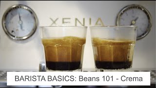 BARISTA BASICS: Crema with the Xenia