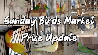 Ali Bhai Shop Visit Los Road Birds Market Lahore Sunday Birds Latest Prices 2022