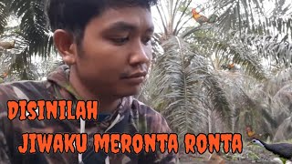 BERBURU AYAM HUTAN !! momen paling mengecewakan mas brooo