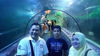 Jelajah Indahnya Sea World Indonesia