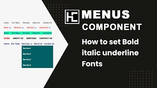 How to set Bold italic underline Fonts