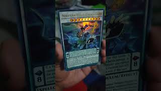 Yu-Gi-Oh Nirvana High Paladin Ultra Rare #yugioh #masterduel #yugiohtcg #yugiohduellinks