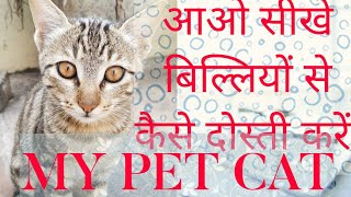 MY PET BEAUTIFUL LION / CAT | HOW TO CONTROL CAT | बीलीओ को कैसे नियंत्रन करे | LAST 10 SECOND DEKNA