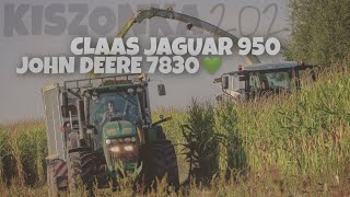 Kukurydza na Kiszonkę 2020! ☆ John Deere 7830 & Claas Jaguar 950 ☆ GR Kołoszyc ☆ AGRO Wiesniak™