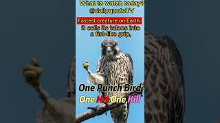 Peregrine Falcon l Fastest Animal Makes a Kill. #shorts #peregrinefalcon #falcons #facts #animals