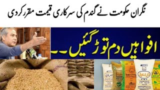 wheat rate in Pakistan, punjab govt, Agriculture, subsidy on seeds, dap Subsidy New update