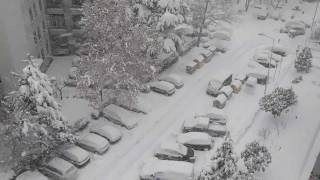 Meteo Bologna - Neve a Bologna 4 Febbraio 2012