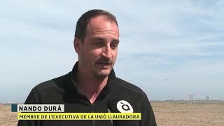 Empreses valencianes importen arròs de fora per competir en preu amb el nostre #LAUNIÓ | #07.03.2024