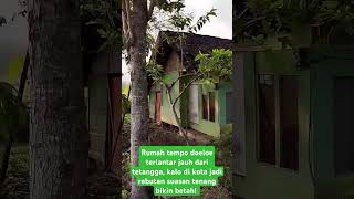 Nampak rumah tempo doeloe sepi nyaman jauh dari tetangga bikin tenang nyaman jauh dari kebisingan!