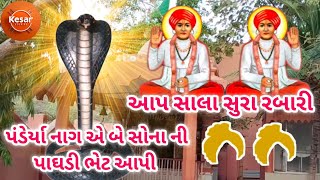 વડવાળા મંદિર | આપા સાલા સુરા નો સંપૂર્ણ ઈતિહાસ કદંબગીરી ધામ | aapa sala sura history kadambgiri