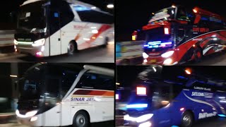 Hunting bus Angkatan malam di jalur Pemalang - Belik - Purwokerto|168trans sinar jaya murni jaya dll