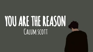 #youarethereason #calumscott #shorts #lyrics #whatsappstatus #englishsongs @lyriczart9893