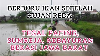 Mancing di sawah setelah hujan reda