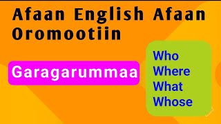 wh question words English for beginners #barnoota_afaan_oromoo_fi_ingliiffa  #nigattube#who