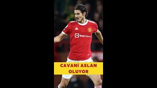 Cavani aslan oluyor