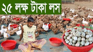 হাঁসে ২৫ লক্ষ টাকা লস | হাঁসের খামার | হাঁস পালন করে লস | Loss by keeping duck | উদ্যোক্তা সাফল্য