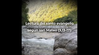 Lectura del santo evangelio según san Mateo (3,13-17)