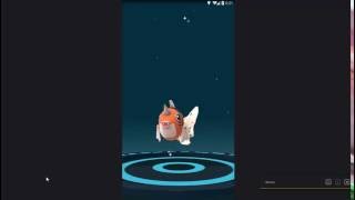 Pokemon GO - GOLDEEN EVOLUTION