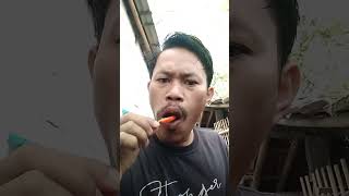 #shorts Makan loa pake cabe rawit