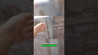 El Mejor Método para Reforzar Ventanas en tu Hogar