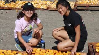 Peach Processing. Gleanings For The Hungry Mission Trip 2016